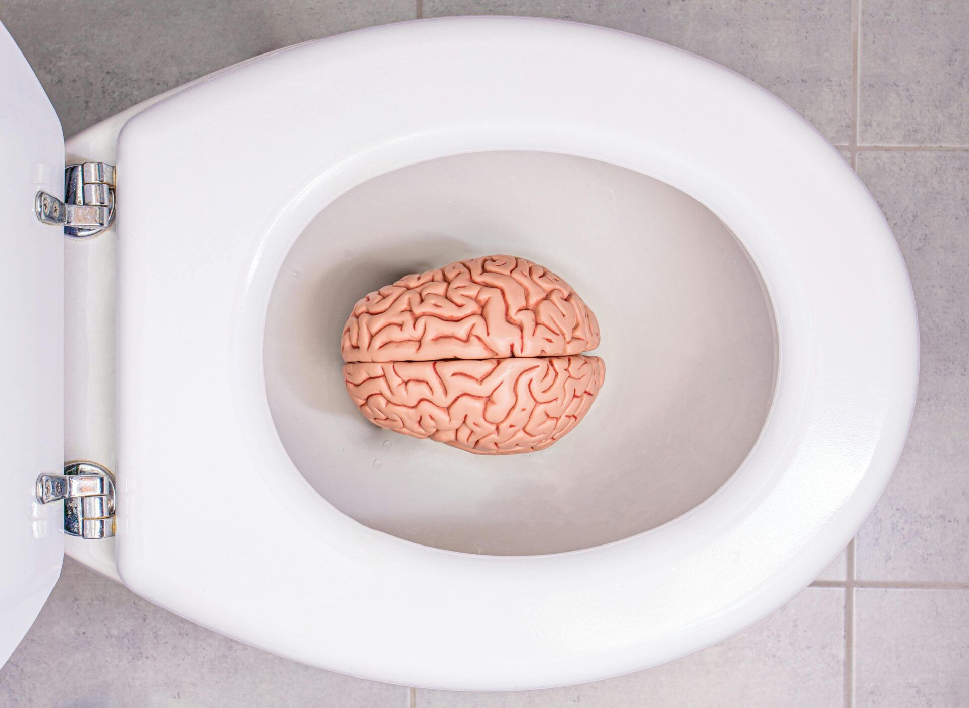Are Gen Zs experiencing brain rot? | native